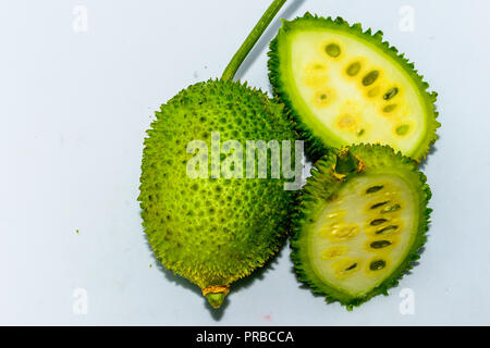 Stachelige grüne bitteren Kürbis grün Obst Gemüse auf weißem Hintergrund. Stockfoto