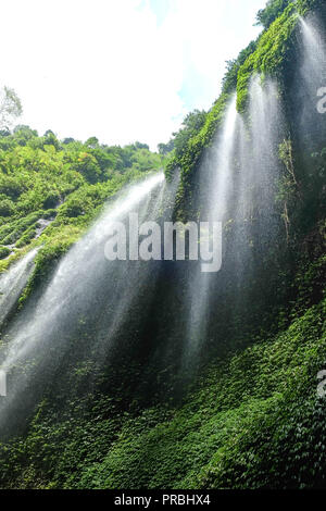 Die schöne Madakaripura Wasserfall, natürlichen Blick von Ost Java, Indonesien. Es ist der größte Wasserfall in Indonesien. Stockfoto