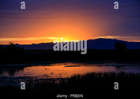 Das Nachleuchten der untergehenden Sonne spiegelt sich auf dem Wasser und leuchtet den Wolken über Farmington Bay WMA und Antelope Island State Park, Utah. Stockfoto