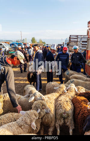 Zentrales Asien, Kirgisistan, Karakol, Sonntag Tiermarkt Stockfoto