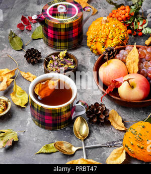 Teetasse auf einem Herbst Hintergrund Laub und Äpfel. Herbst Postkarte Stockfoto