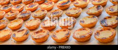 Reihen von frisch gekochtes Ei tart, traditionelle portugiesische Dessert, Pastel de Nata, Pudding. Stockfoto