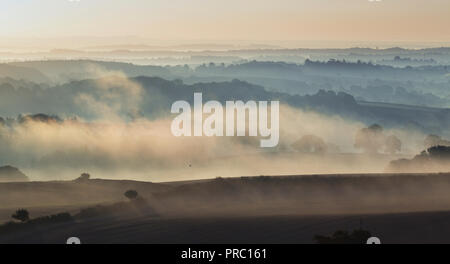 Morgennebel über Felder am herbstlichen Morgen in Großbritannien Stockfoto