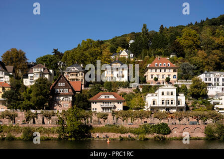 Villen in Heidelberg Neuenheim Viertel, mit Blick auf den Neckar und mit Blick auf das Schloss Stockfoto