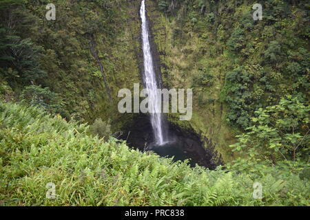 Akaka Falls Big Island Hawaii USA Stockfoto