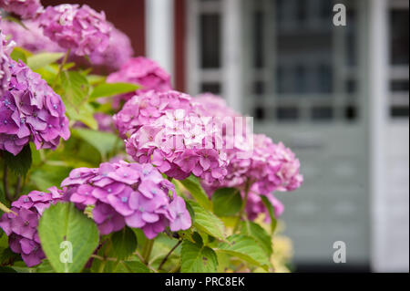 Der Bezirk Harrow in North West London Stockfoto