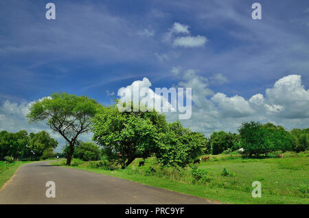 Dorf Straßen am Nachmittag in Baidyapur, West Bengal, Indien. Village Szene der Herbst in der Natur unter wunderschönen blauen Himmel. Stockfoto