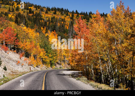 Espen ändern Farben auf Wheeler Peak Scenic Drive in Nevada Great Basin National Park zu fallen Stockfoto