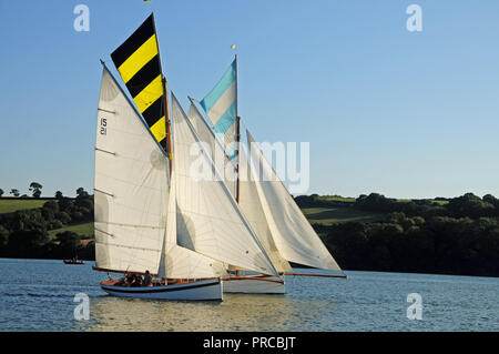 Traditionelle Falmouth arbeiten Boote in einer Regatta in der Fal Estuary konkurrierenden Stockfoto