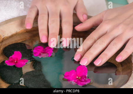 Frau Hände mit sanft rosa Nägel gel Polish über Wasser mit violetten Blüten und schwarzen Stein in Houten. Maniküre und Schönheit Konzept. Nahaufnahme Stockfoto