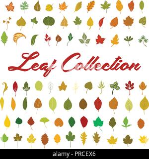 Blattsammlung Vektor Stock Vektor