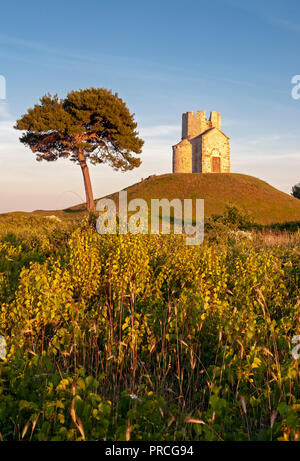 Pine Tree und romanische St. Nicolas (Nicola) Kirche auf tönernen Hill in Bereichen von Prahulje, Nin, Dalmatien, Kroatien Stockfoto