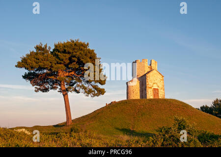 Pine Tree und romanische St. Nicolas (Nicola) Kirche auf irdenen Hügel in Prahulje, Nin, Dalmatien, Kroatien Stockfoto