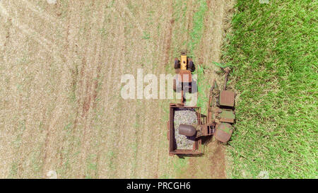 Zuckerrohr Ernte. Ribeirão Preto, São Paulo. Luftaufnahme von "canavial'. Landwirtschaft in Brasilien. Stockfoto