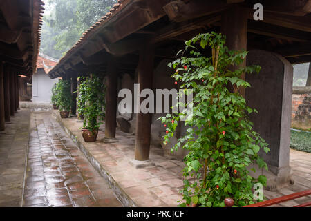 Stein Schildkröten halten Sie Steine, auf denen die Namen der chinesischen Gelehrten am Tempel der Literatur in Hanoi, Vietnam geschnitzt wurden. Stockfoto