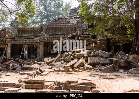 Metal Gerüst bieten Unterstützung für Wände wie die Wurzeln eines riesigen Baumes drohen zu ruinieren und übernehmen die UNESCO-Weltkulturerbe von ankor Thom, Stockfoto