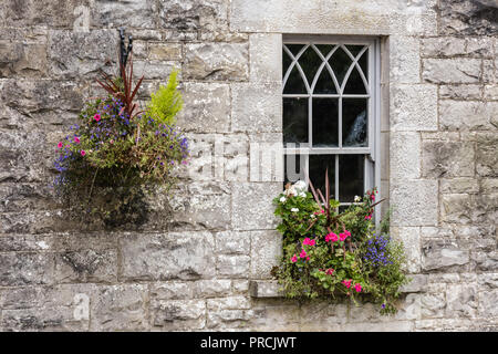 Hängenden Korb und Fenster auf der Mauer eines alten irischen Cottage. Stockfoto