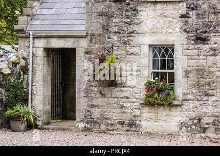 Hängenden Korb und Fenster auf der Mauer eines alten irischen Cottage. Stockfoto