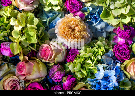 Hintergrund der Blüten in Pastelltönen und Rosen in Rosa, Lila und Blau Stockfoto