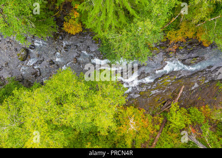 Antenne drone Ansicht eines wilden Fluss durch einen Wald läuft Stockfoto