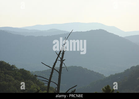 Landschaft im Sommer auf dem Blue Ridge Parkway in Virginia, USA Stockfoto