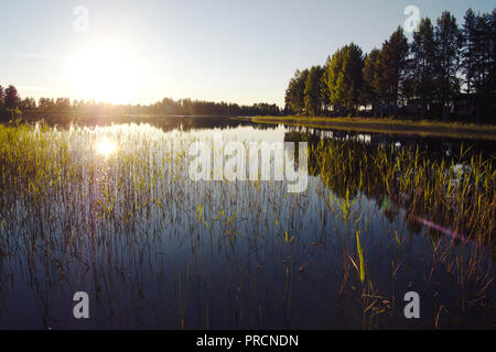 Blick auf einen See im Sommer im Gargnäs in Schweden. Stockfoto