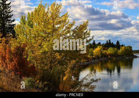 Herbst Farben entlang der Spur Stockfoto