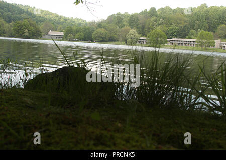 Gipfel der Otter Lodge am Abbott Lake in Virginia Blue Ridge Mountains, USA Stockfoto