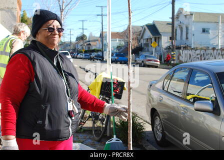West Oakland resident Cheryl Walker Pflanzen ein Bäumchen an der Ecke 30. Straße und San Pablo Avenue im Westen Oakland. Stockfoto