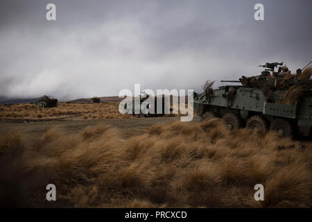 Us-Marines und Royal New Zealand Army Soldatenverbaende rufen zum Brand von einer leichten gepanzerten Fahrzeug als Teil der Übung Joint Assault Signale Firma Schwarz, Waiouru Militärlager, Neuseeland, Sept. 26, 2018. Die Marines sind mit 1. Brigade, 5 Air Naval Geschützfeuer Liaison Firma, III Marine Expeditionary Force Information Group. (U.S. Marine Corps Foto von Sgt. Jordan E. Gilbert) Stockfoto