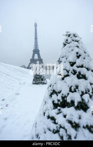 Eiffel Tower unter dem Schnee im Winter hinter Kiefern vom Trocadero in Paris, Frankreich Stockfoto