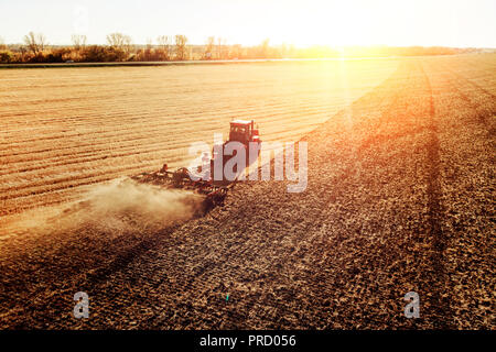 Landwirtschaft Ernten von Früchten in Feldern. Traktor zieht einen Mechanismus für die Heuernte. Ernte im Herbst in der Früh in der Morgendämmerung. Agribusiness in t Stockfoto