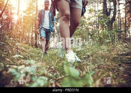 Gruppe von Mann und Frauen während Wandern Ausflug in Wald, Wandern, während sie ihre Reise genießen. Stockfoto