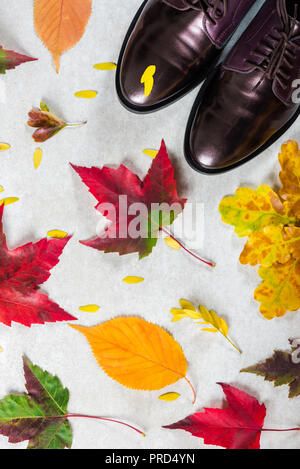 Trendy Leder Schnürschuhe Halbschuhe mit Blättern. Zusammensetzung von Herbstlaub. Flach, Ansicht von oben Stockfoto