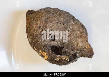 Eine Fäule, zersetzt Zitrone, auf einem weißen Teller. Die Farbe der Zitrone ist braun, mit schwarzen und gelben Flecken. Stockfoto