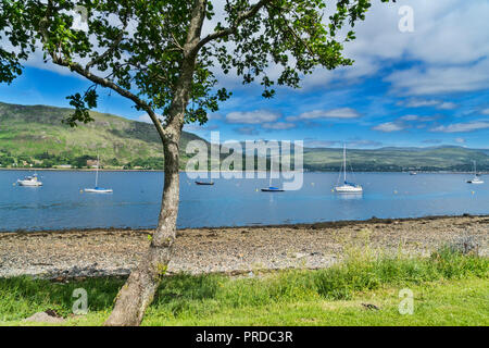 Blick über Loch Linnhe in Fort William, Ardgour Berge, Hochland, Schottland Großbritannien Stockfoto