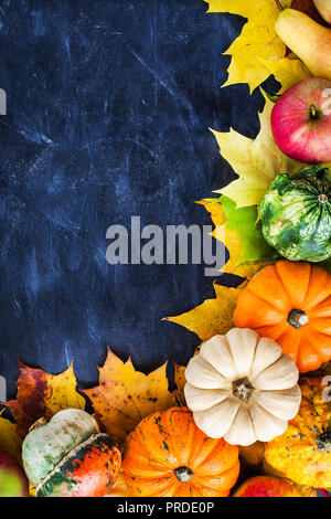 Herbstlich bunte Kürbisse, Äpfel und Laub auf dunklem Hintergrund mit Platz für Text kopieren Stockfoto