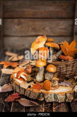 Die herbstlichen Wald essbare Pilze (Steinpilze) im Warenkorb auf rustikalen Holzmöbeln Hintergrund Stockfoto