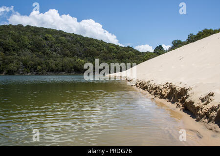 See auf Fraser Island, Queensland, Australien mit Wald und große Sanddüne Stockfoto