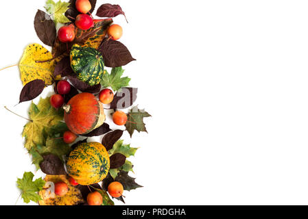 Kürbisse mit Herbstlaub und Paradise Äpfel mit weißem Hintergrund. Ansicht von oben. Stockfoto