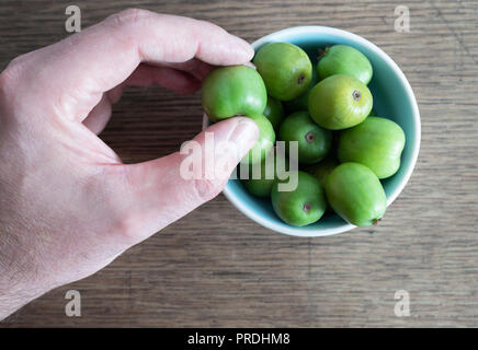 7/8 Handpflückung hardy Kiwi oder kiwi Berry aus Keramik Schüssel auf dem Tisch Stockfoto