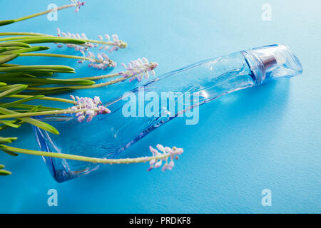 Natürliches Parfüm Konzept. Flasche Parfüm mit floralen Duft auf blauem Hintergrund Stockfoto
