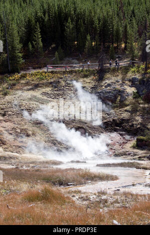 Dampf steigt aus dem Blood Geyser in den Artists Paint Pots im Yellowstone National Park, Wyoming. Stockfoto