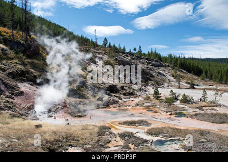 Dampf steigt aus dem Blood Geyser in den Artists Paint Pots im Yellowstone National Park, Wyoming. Stockfoto