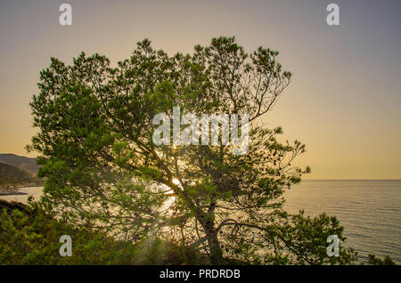 Malerischer Blick auf Cala Iris Beach, Alhoceima - Marokko - Stockfoto