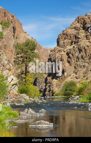 Imnaha Wild und Scenic River von Imnaha River Trail, Hells Canyon National Recreation Area, Oregon Stockfoto