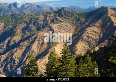 Hells Canyon von Saddle Creek Campground, Hells Canyon National Recreation Area, Oregon Stockfoto