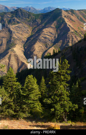 Hells Canyon von Saddle Creek Campground, Hells Canyon National Recreation Area, Oregon Stockfoto