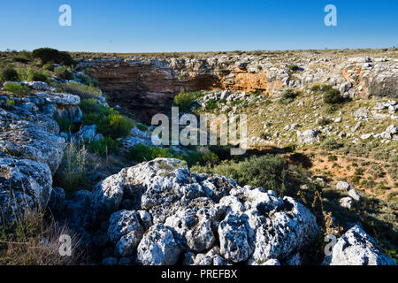 Eingang Cocklebiddy Cave, Nullarbor Plain Western Australia Stockfoto