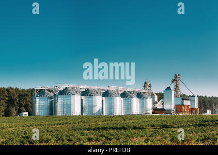 Getreidespeicher, Korn - Trocknen Komplex, kommerzielle Körner Silos im sonnigen Sommer ländlichen Landschaft. Mais Trockner Silos, inländisches Getreide Terminal, Körnerelevator Stockfoto